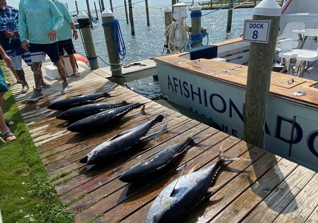 Photo of Others in Nags Head