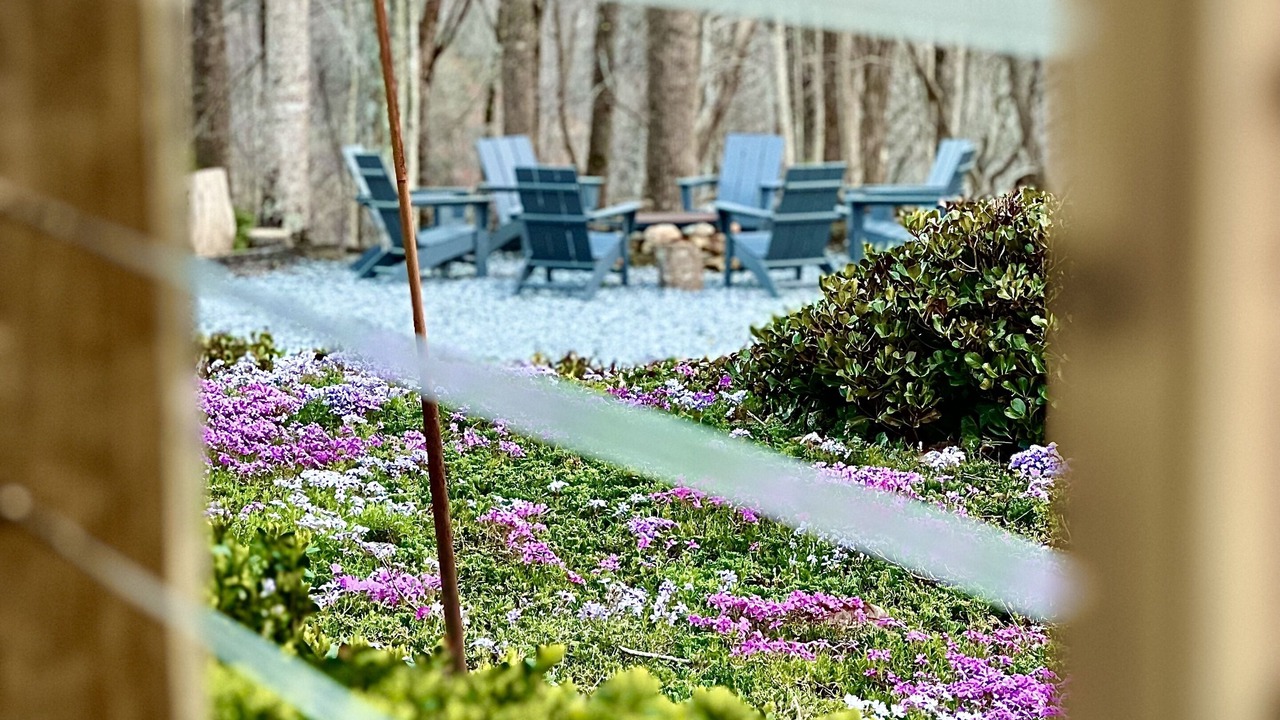 Photo of Outdoor in Saluda