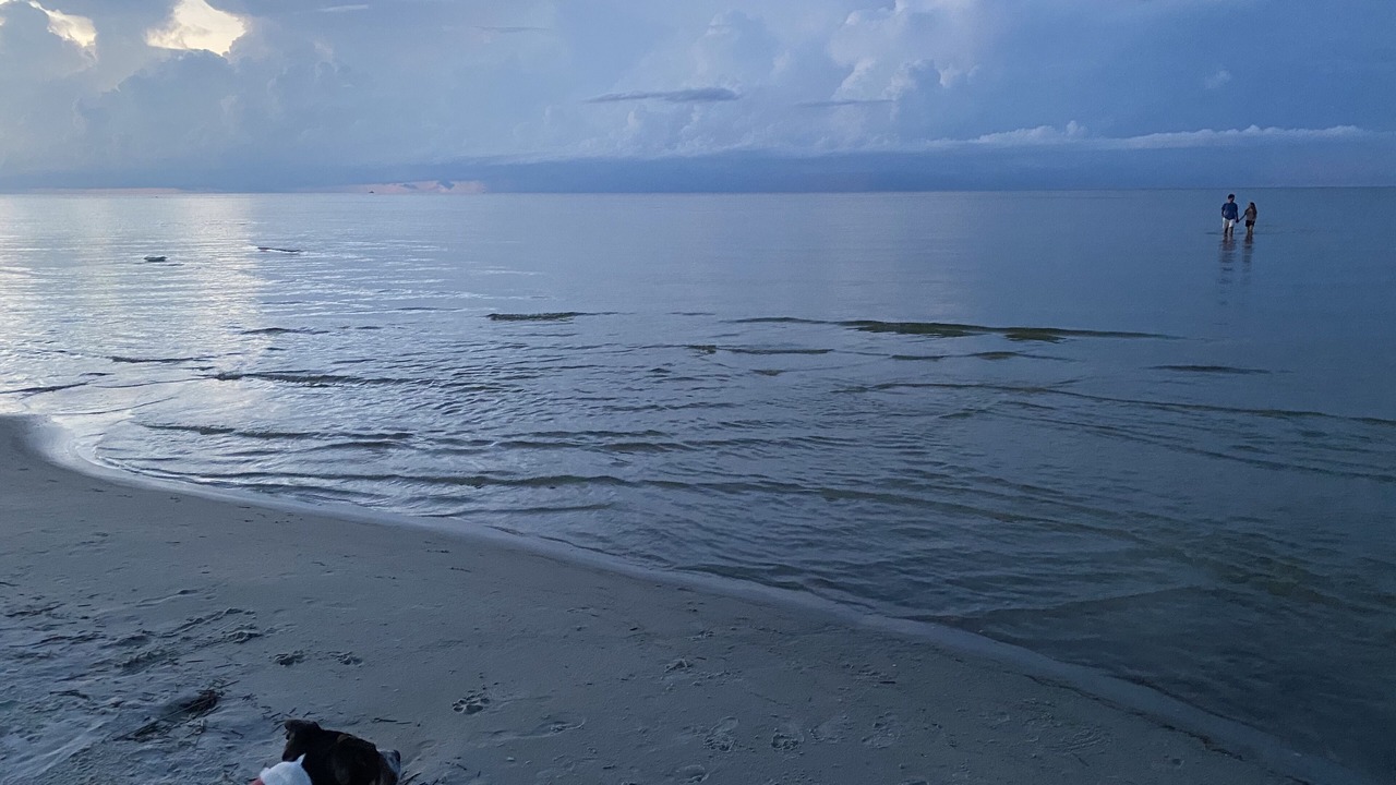 Photo of Others in Cedar Island