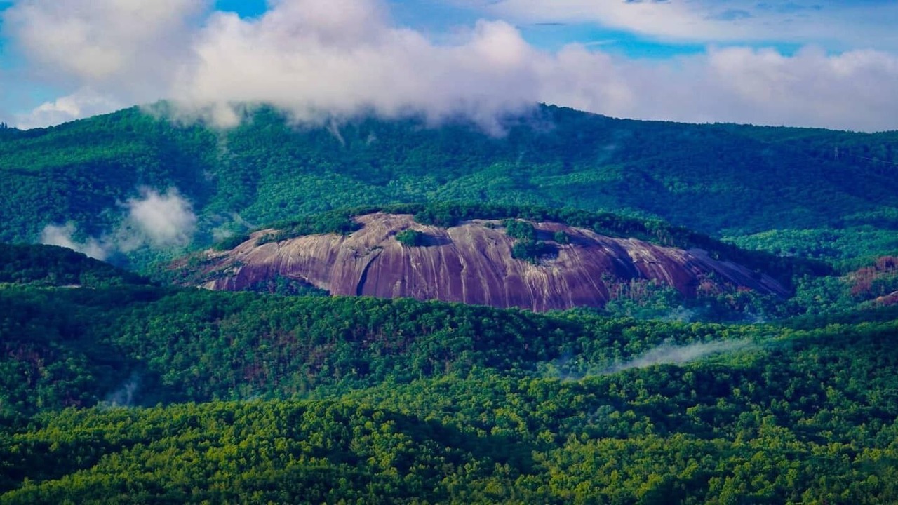 Photo of Outdoor in Traphill