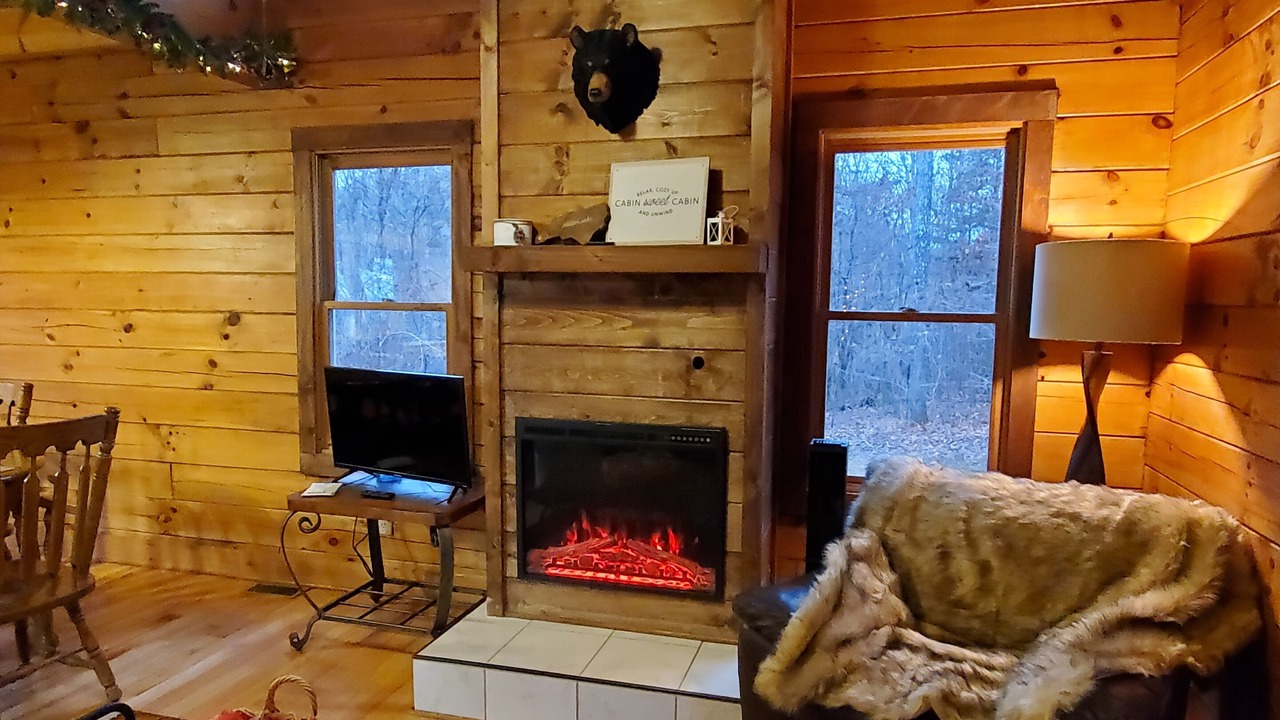 Photo of Livingroom in Vein Mountain