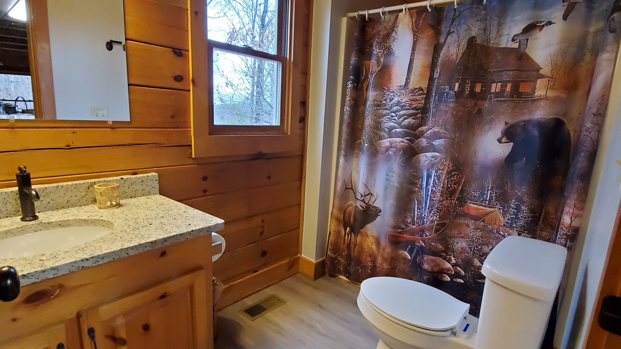 Photo of Bathroom in Vein Mountain