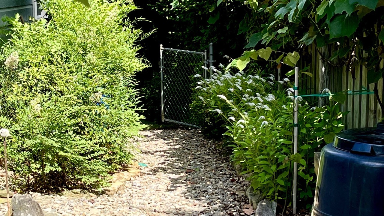 Photo of Outdoor in Weaverville