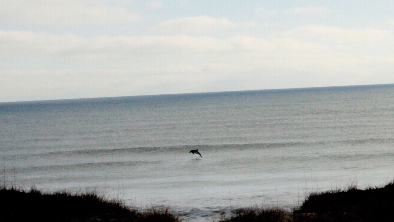 Photo of Others in Carova Beach