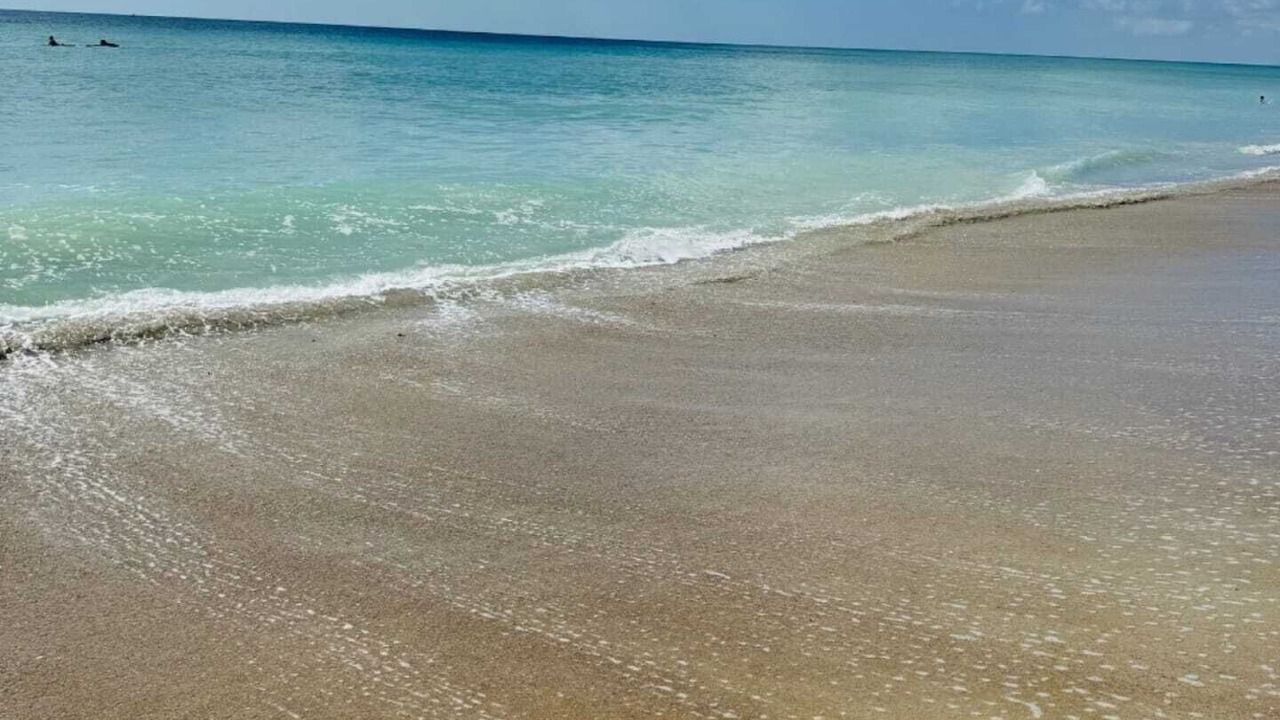 Photo of Others in Emerald Isle