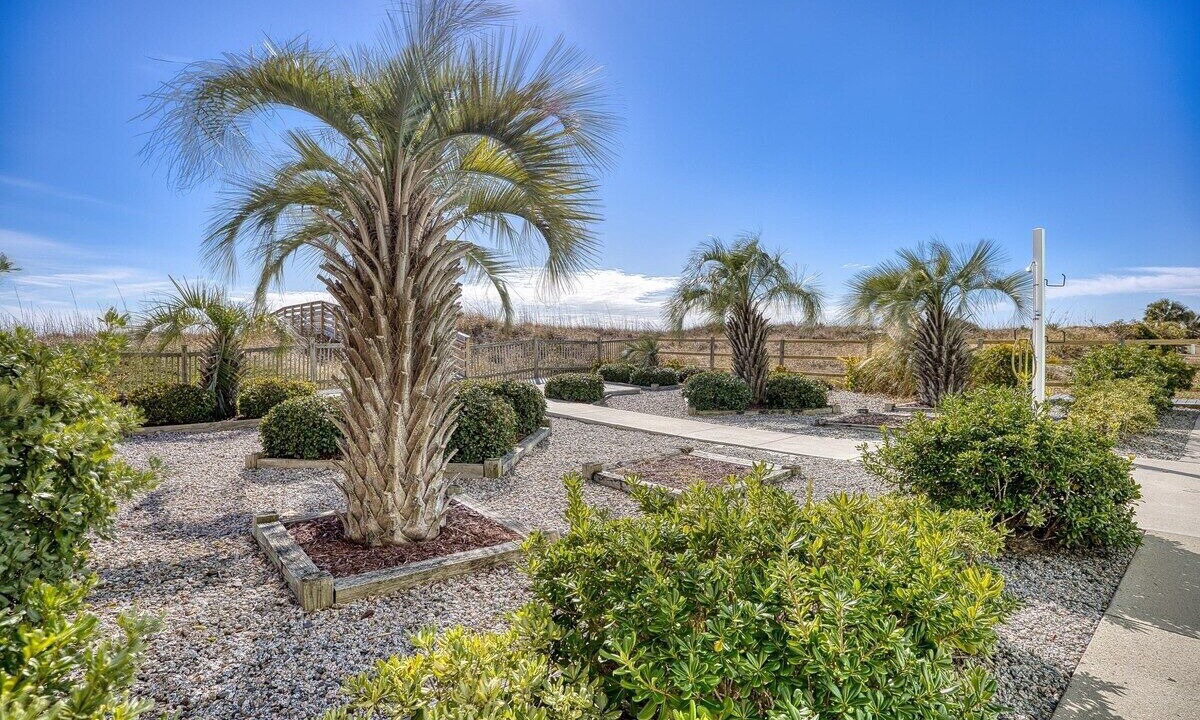 Photo of Outdoor in Ash