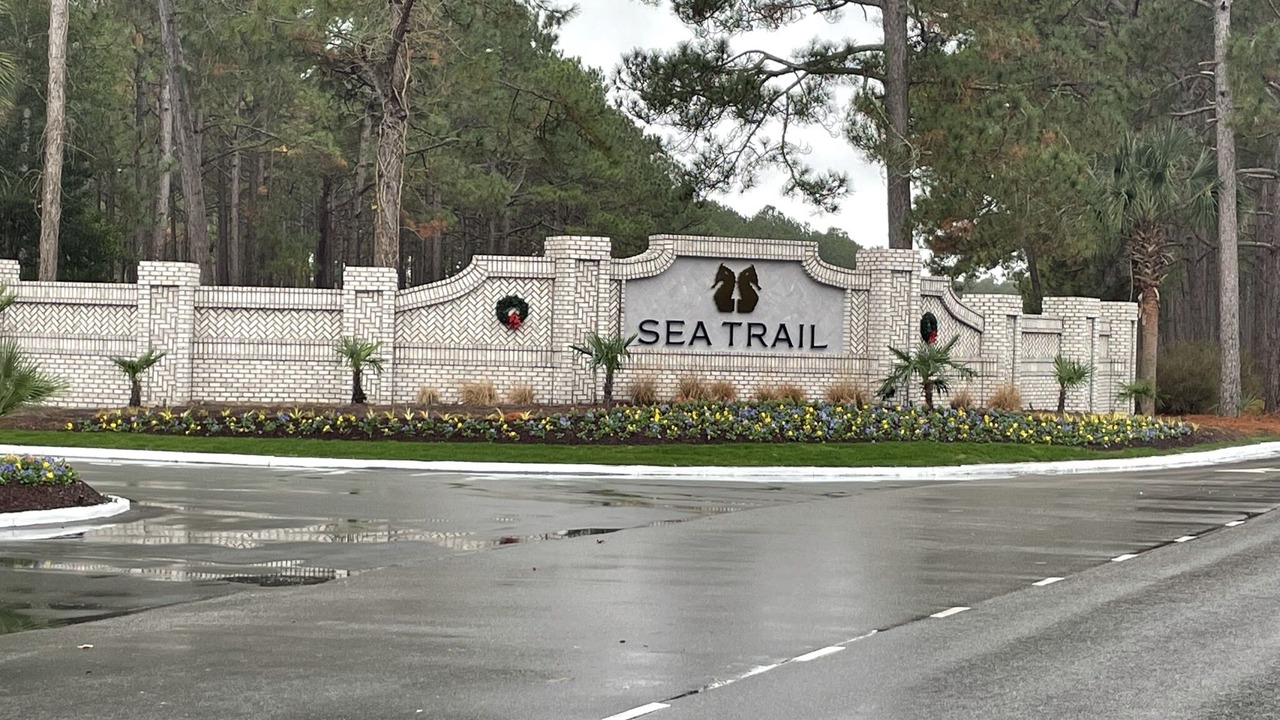 Photo of Others in Sea Trail
