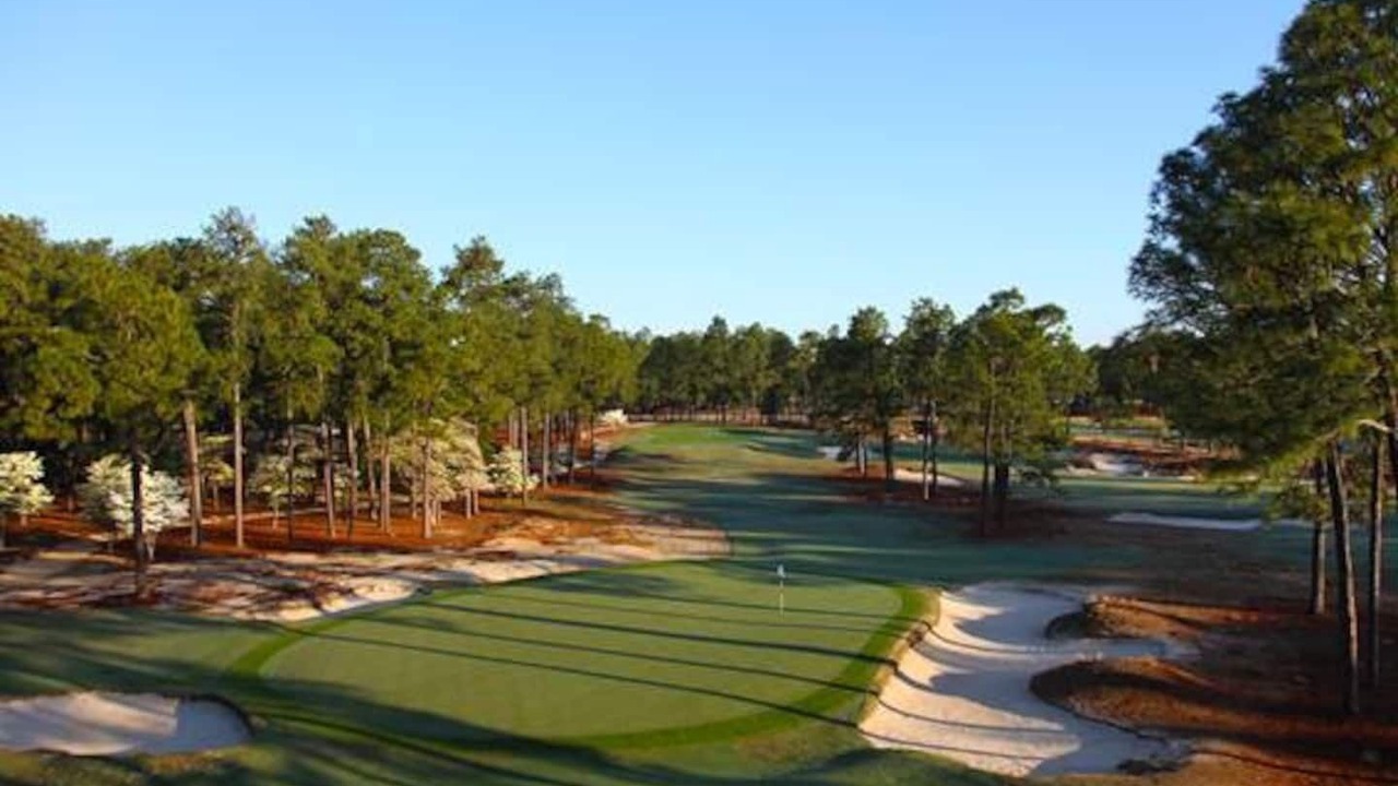 Photo of Others in Southern Pines