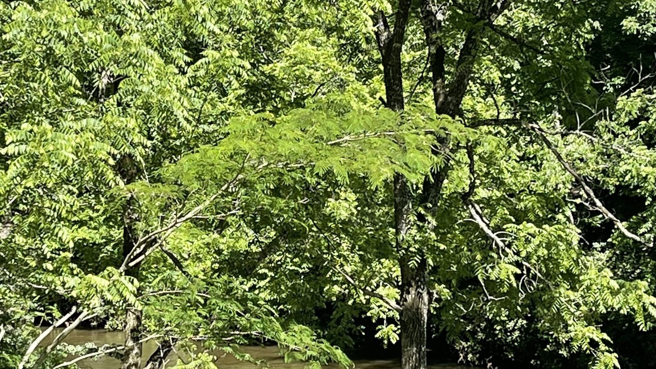 Photo of Others in Franklin