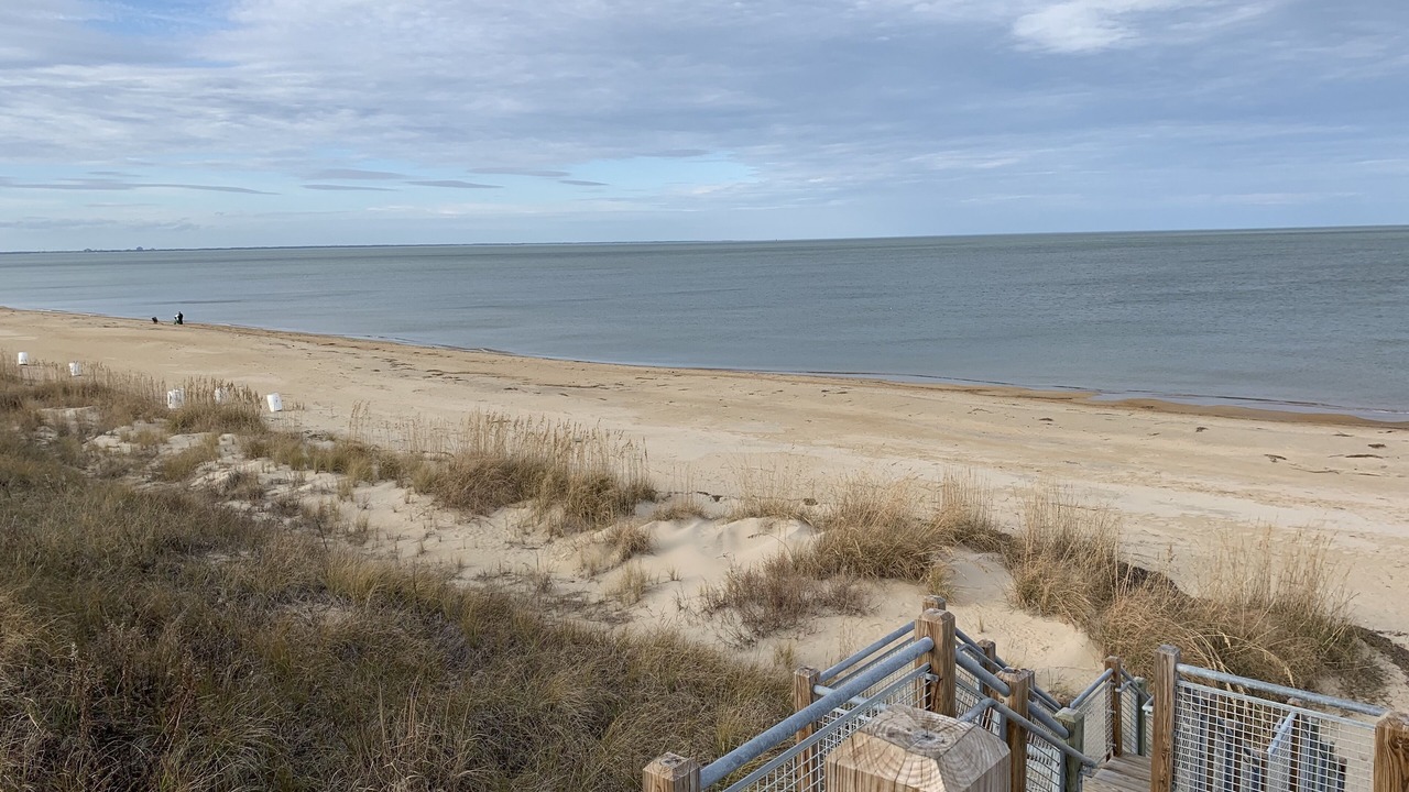 Photo of Others in East Ocean View
