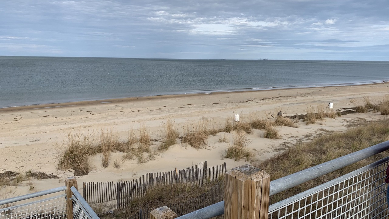 Photo of Others in East Ocean View