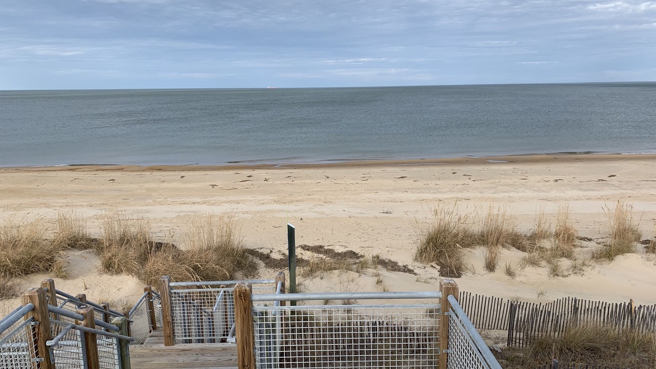 Photo of Others in East Ocean View