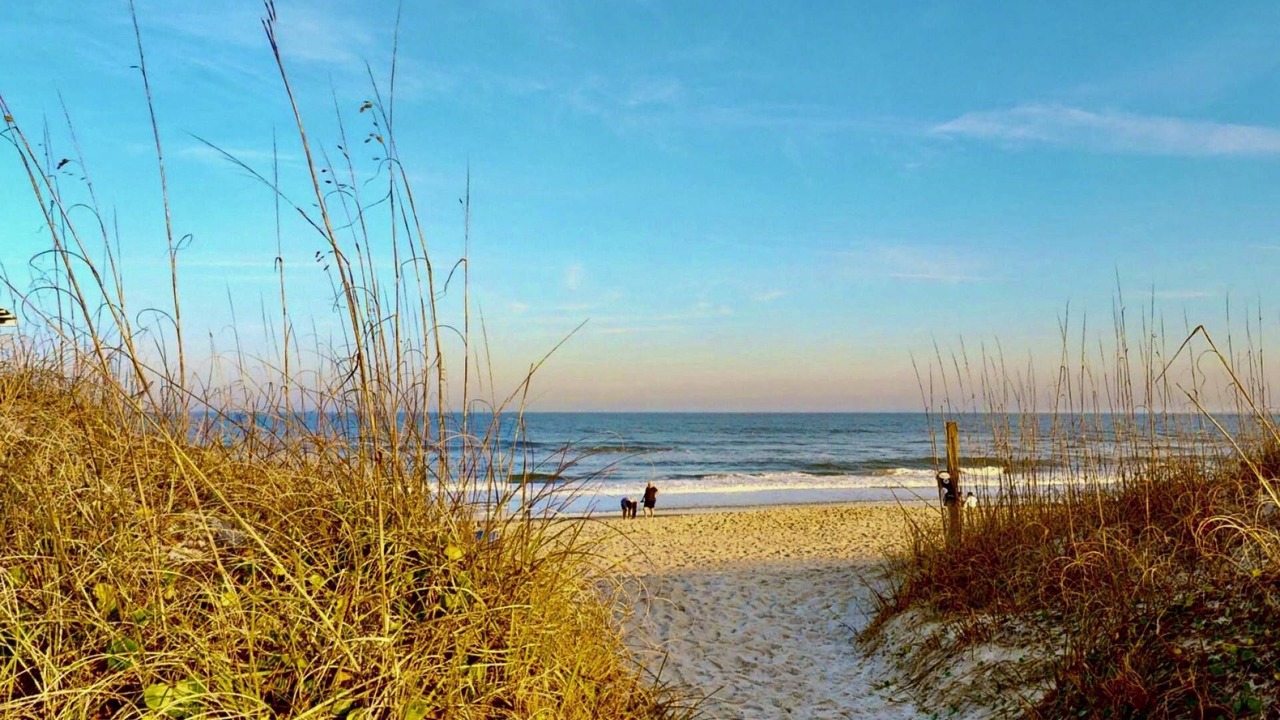 Photo of Others in Wilmington Beach