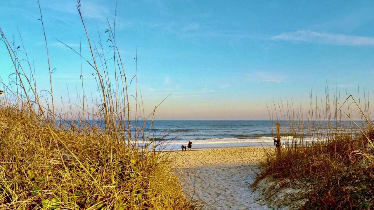 Photo of Others in Wilmington Beach
