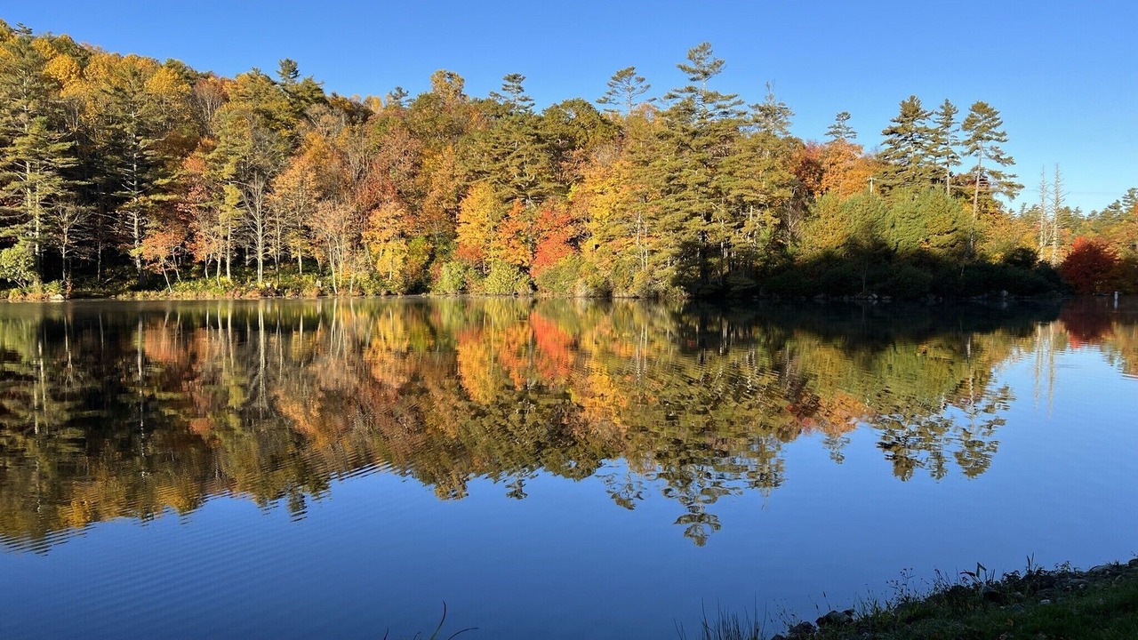 Photo of Outdoor in Lake Sequoyah