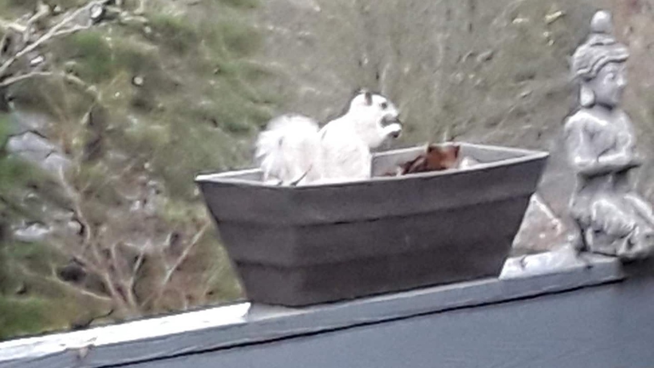 Photo of Outdoor in Brevard