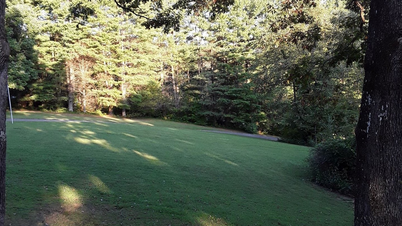 Photo of Outdoor in Brevard