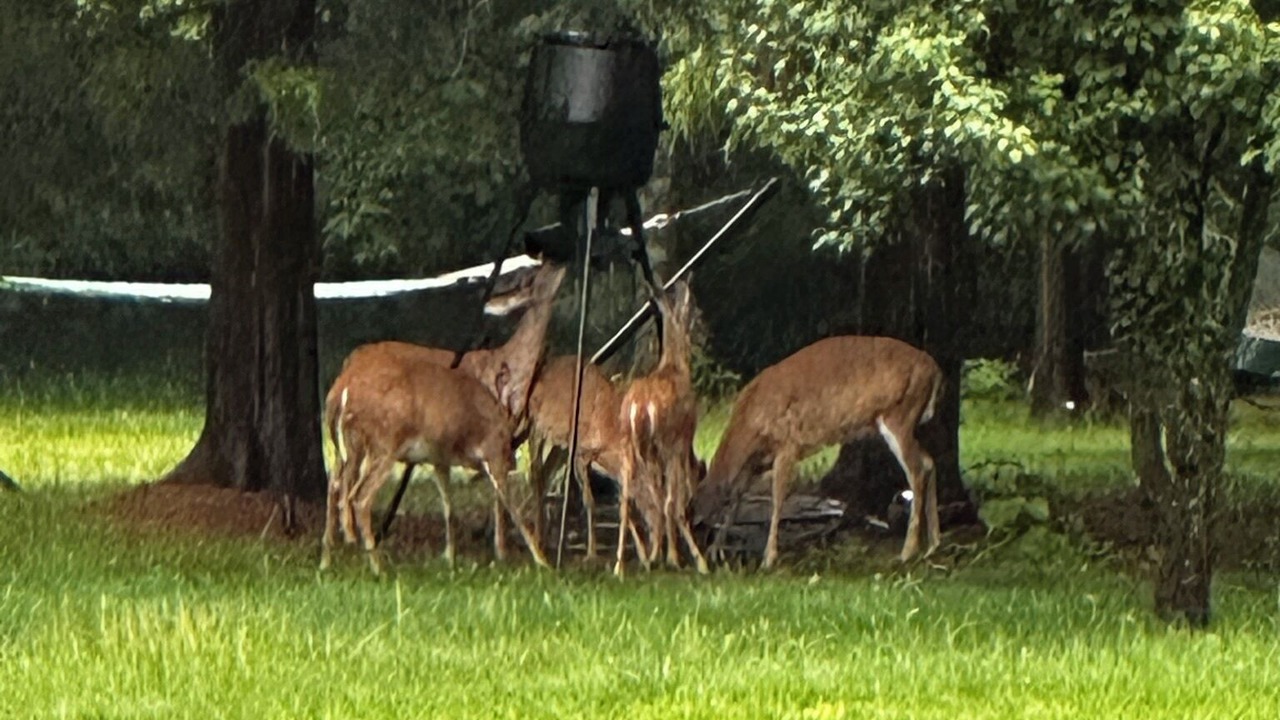 Photo of Outdoor in Mount Mourne