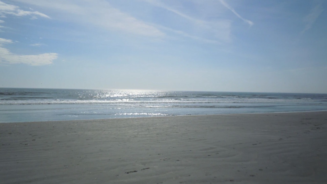Photo of Others in Sea Trail