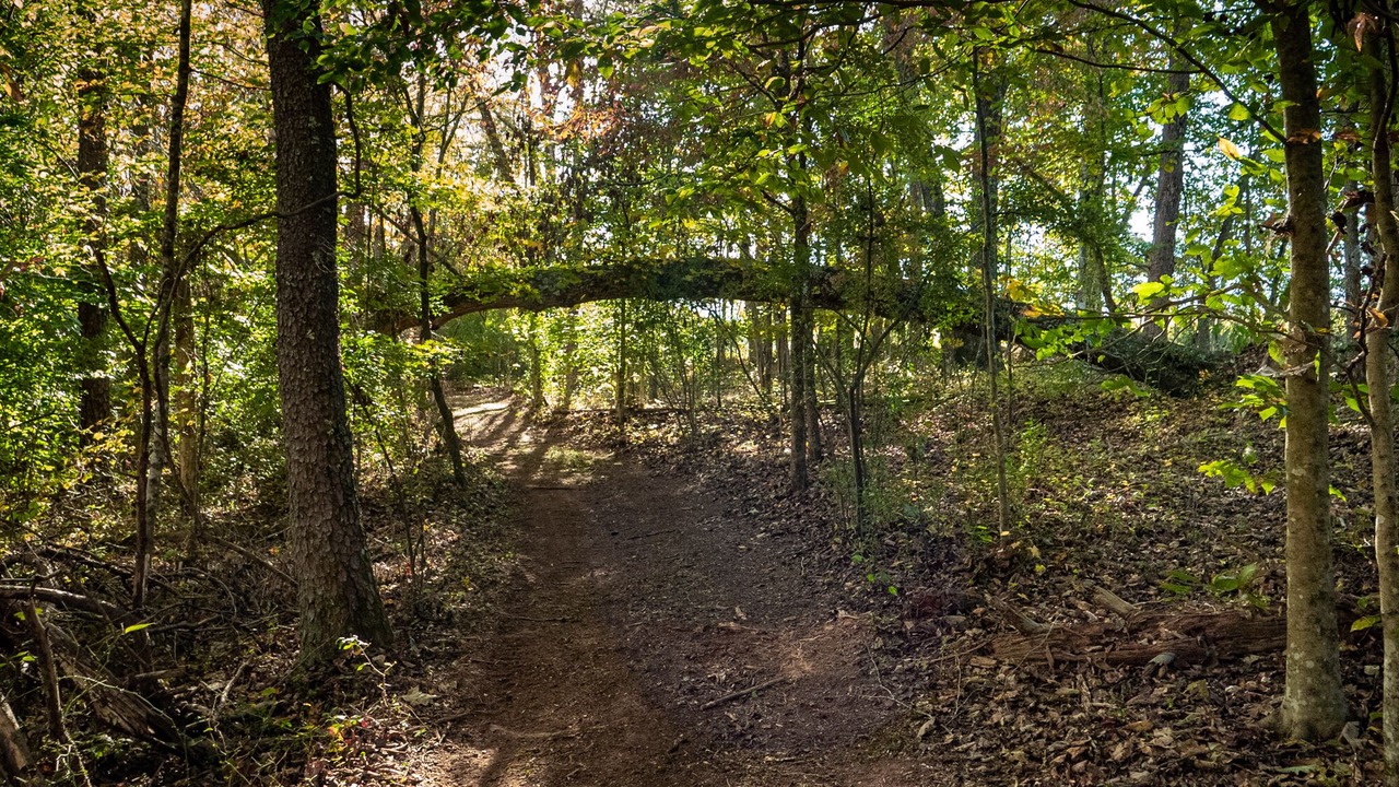 Photo of Outdoor in Rutherfordton