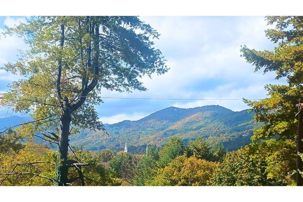 Photo of Others in Waynesville