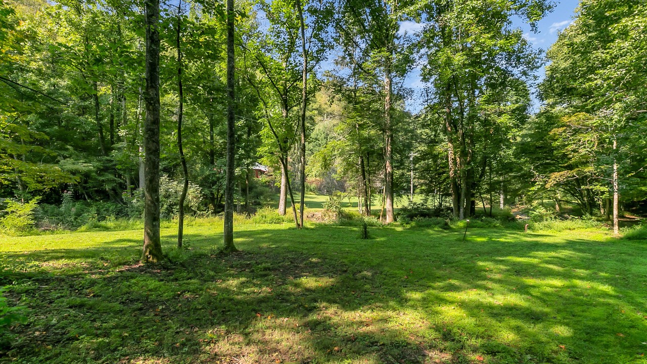 Photo of Outdoor in Rosman
