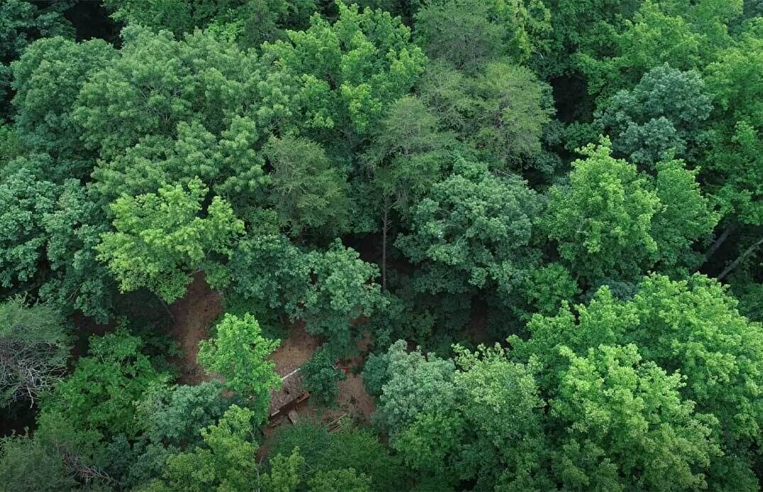 Photo of Outdoor in Stokes