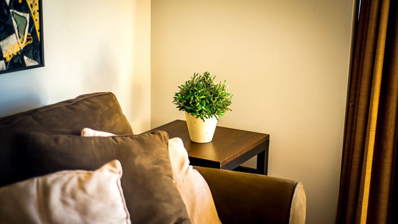 Photo of Livingroom in Downtown Wilmington