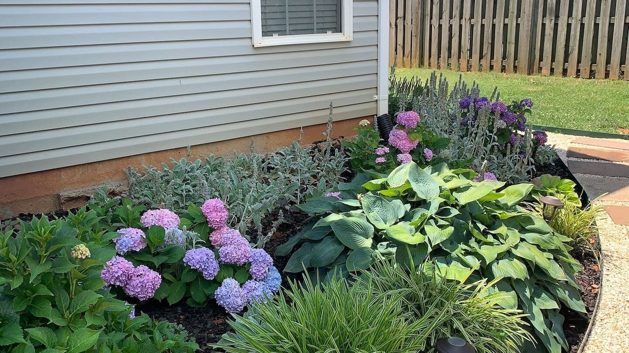 Photo of Outdoor in Mooresville