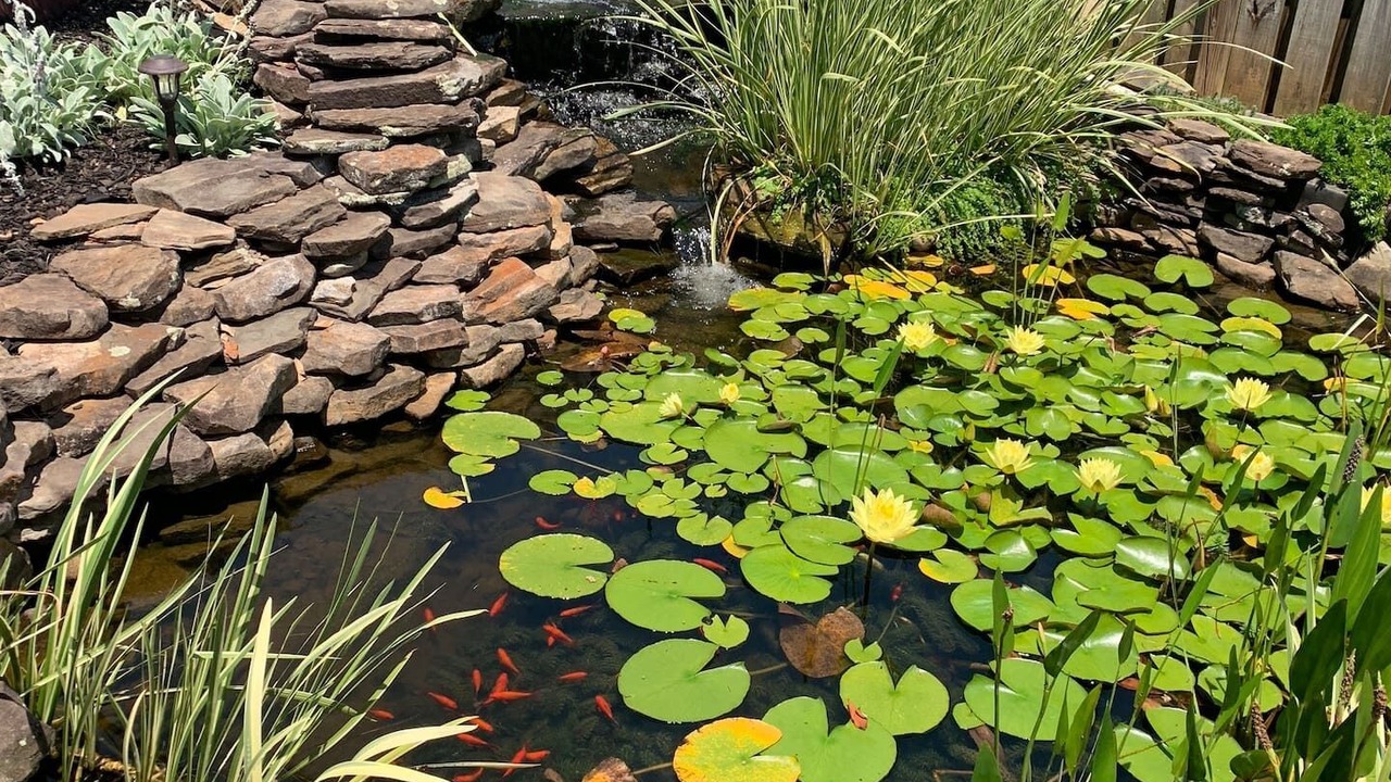Photo of Outdoor in Mooresville