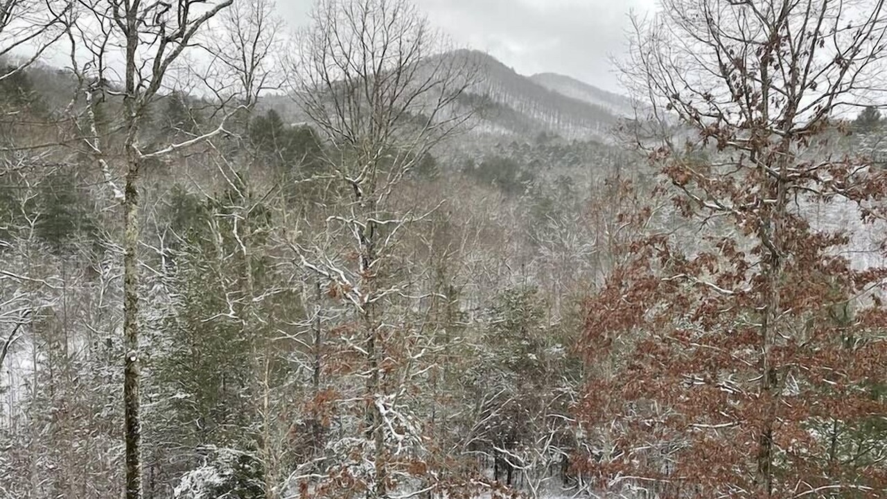 Photo of Others in Murphy