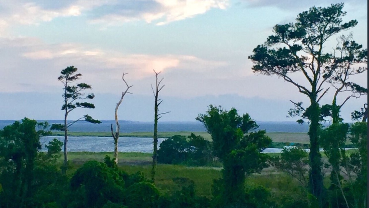 Photo of Others in Bermuda Bay