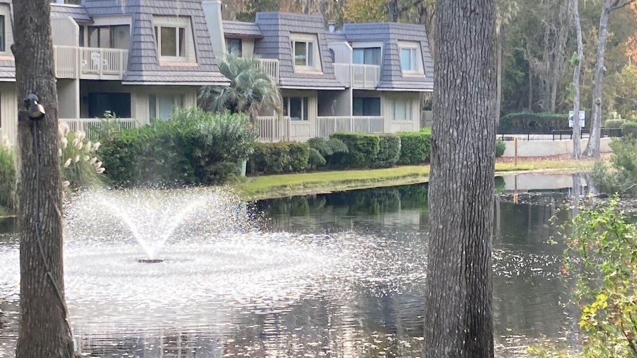 Photo of Outdoor in Hilton Head Island