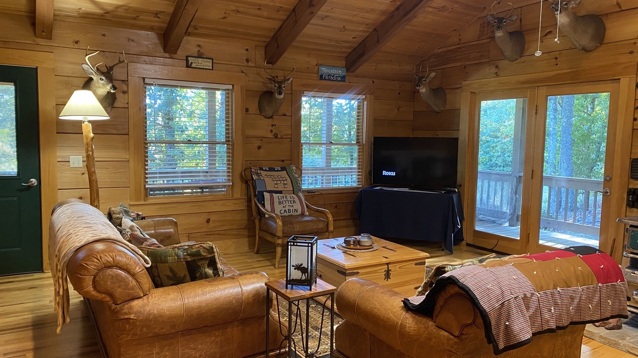 Photo of Livingroom in Saluda
