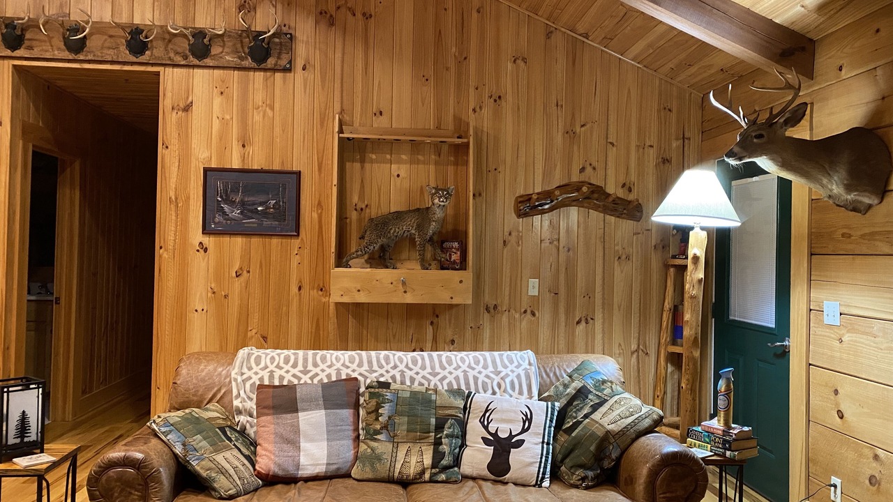 Photo of Bedroom in Saluda
