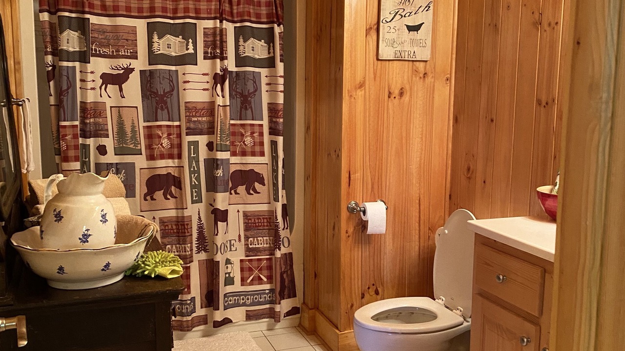 Photo of Bathroom in Saluda