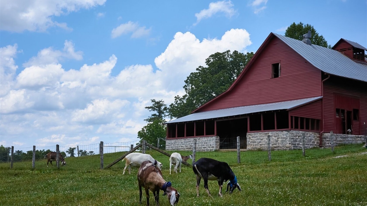 Photo of Outdoor in Flat Rock