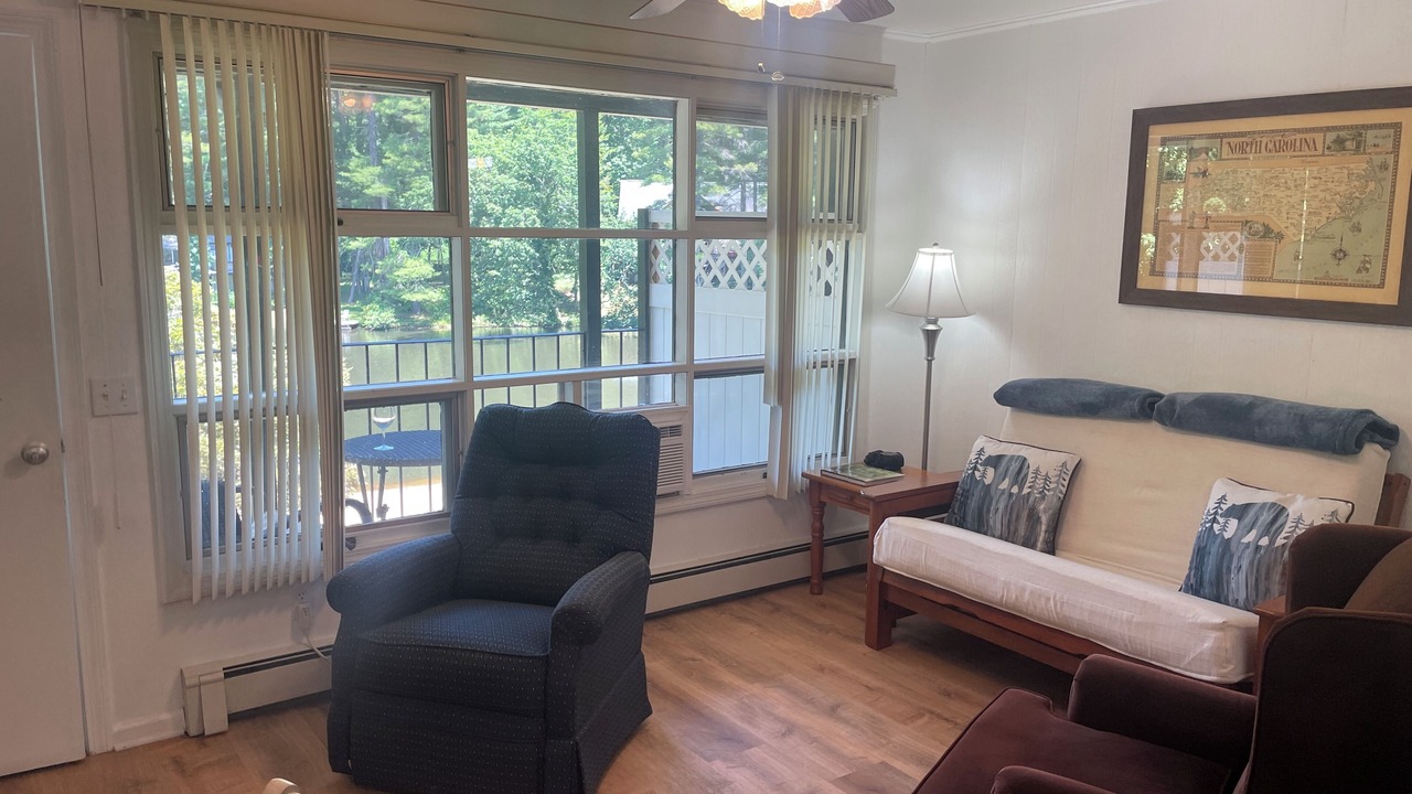 Photo of Livingroom in Flat Rock
