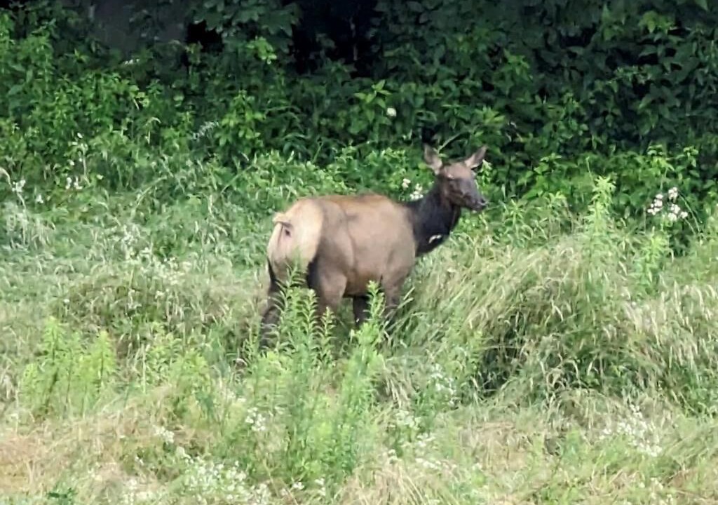 Photo of Others in Hemphill Heights