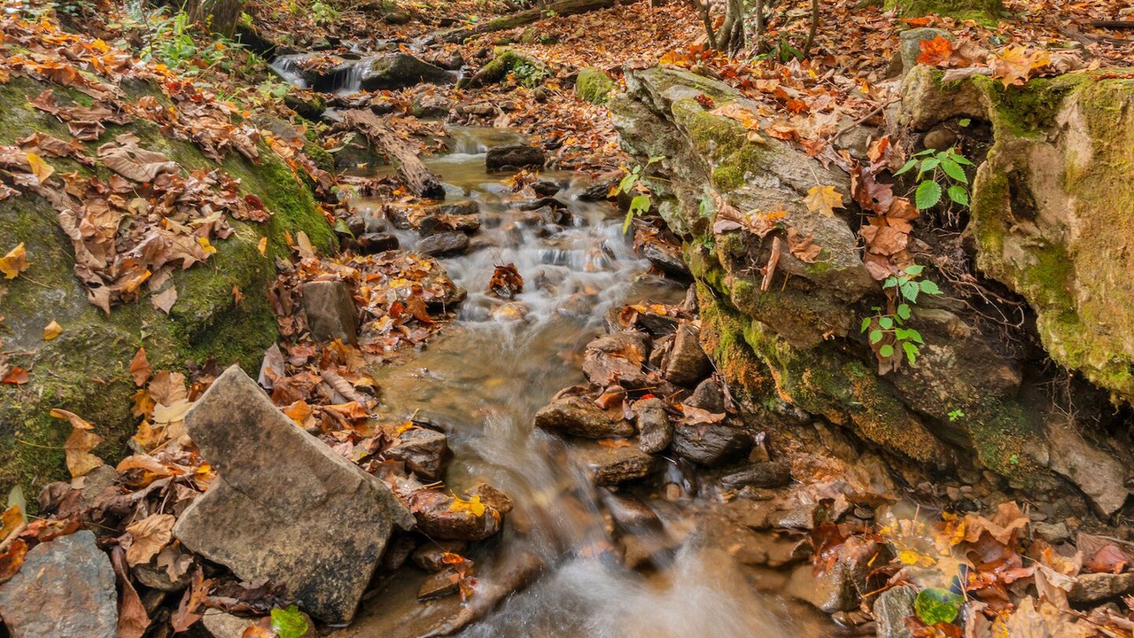Photo of Outdoor in Maggie Valley