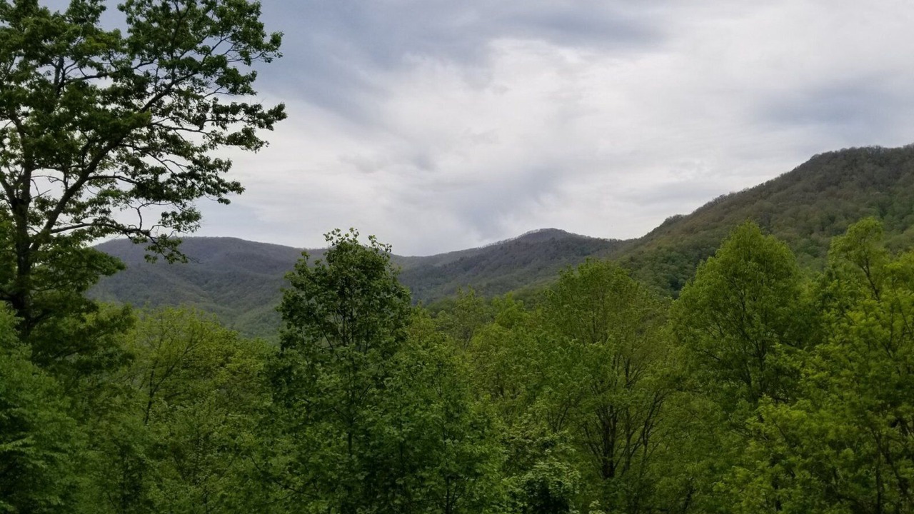 Photo of Outdoor in Franklin