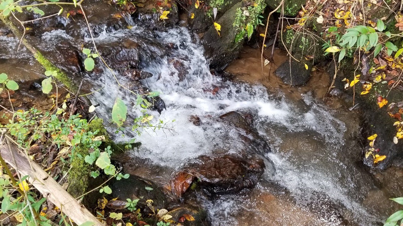Photo of Outdoor in Franklin