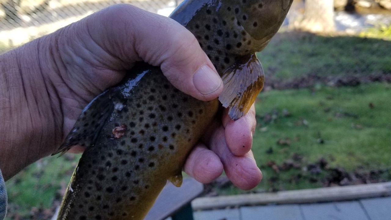 Photo of Outdoor in Franklin