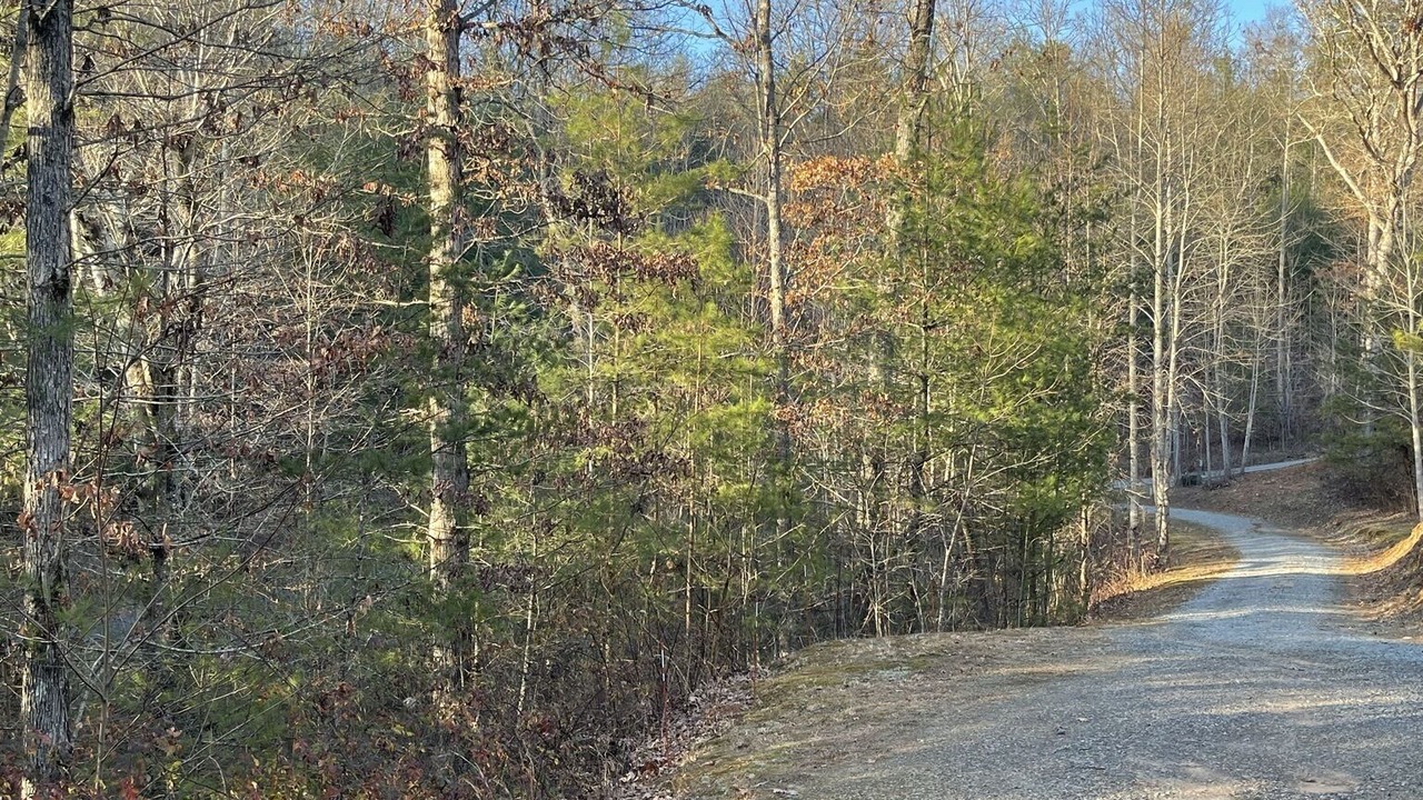 Photo of Outdoor in Unaka