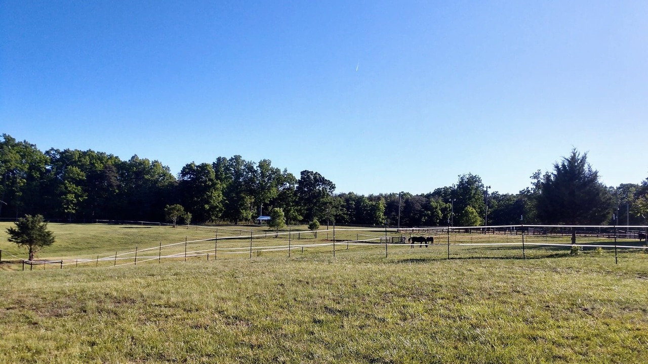Photo of Others in Reidsville