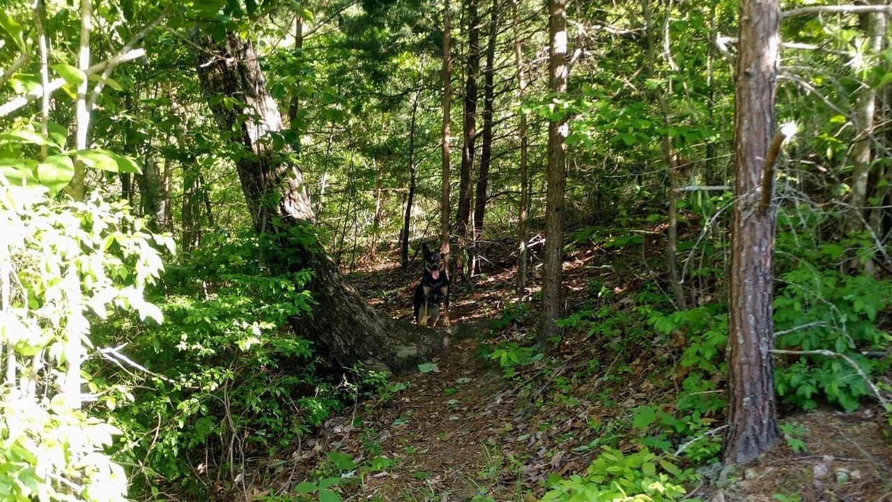 Photo of Outdoor in Reidsville