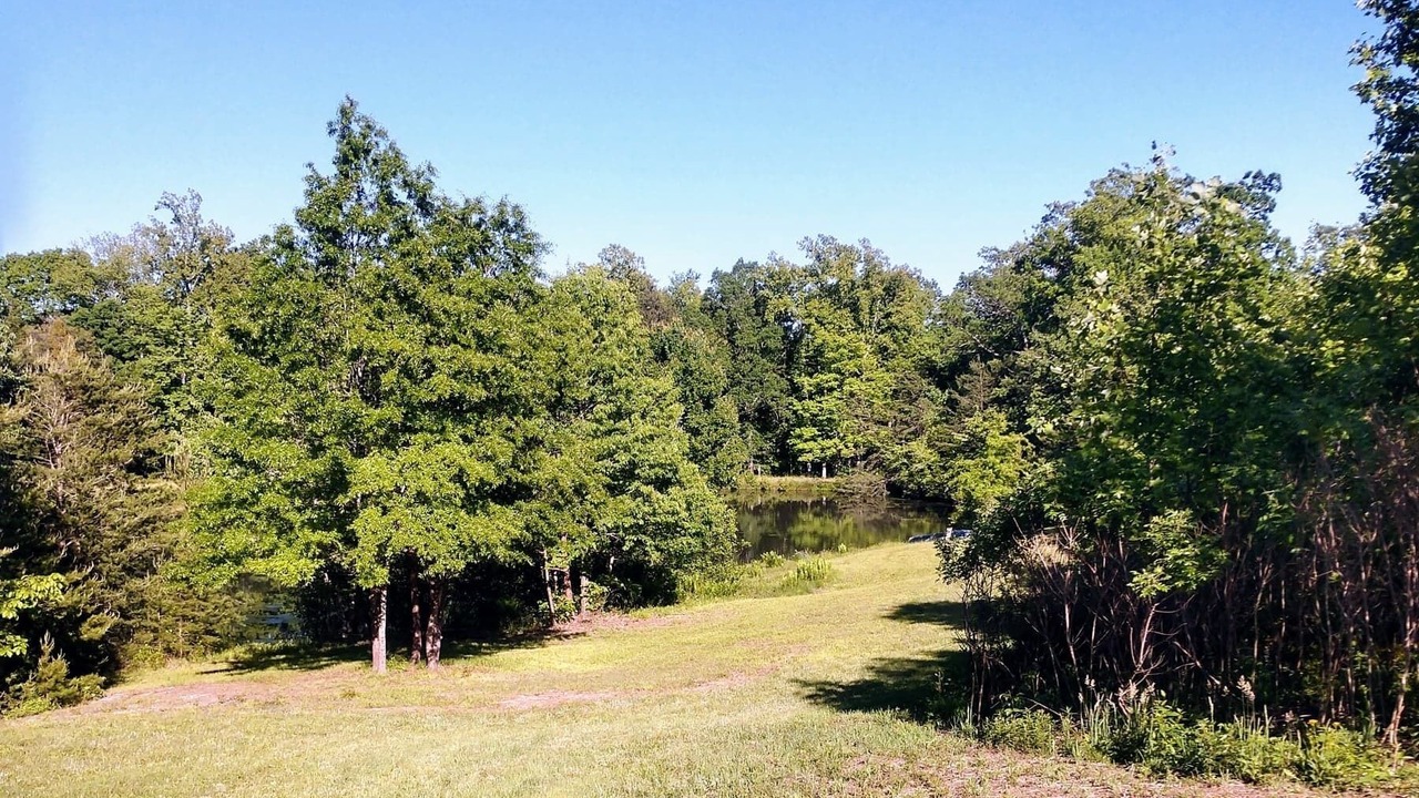 Photo of Outdoor in Reidsville
