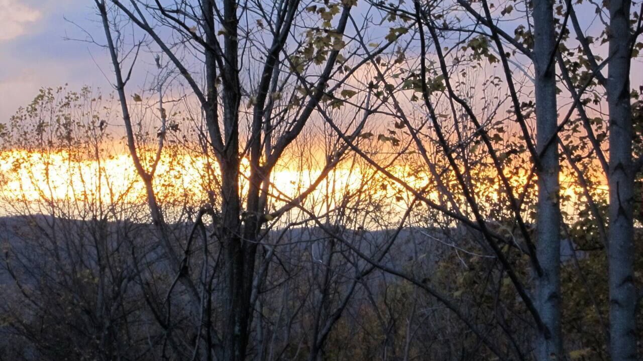 Photo of Outdoor in Zionville