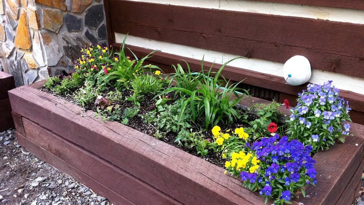 Photo of Outdoor in Zionville