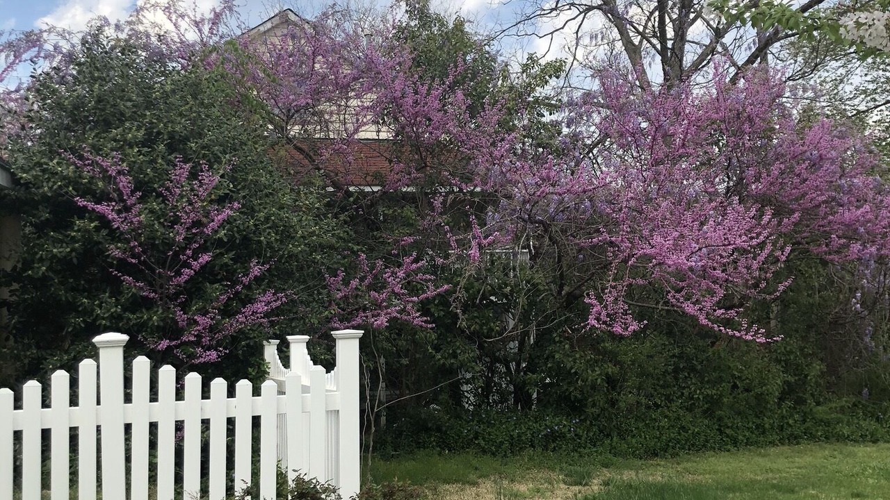 Photo of Outdoor in Dallas
